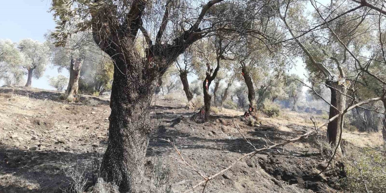 Bakanlığa afet ihbarı yapılacak