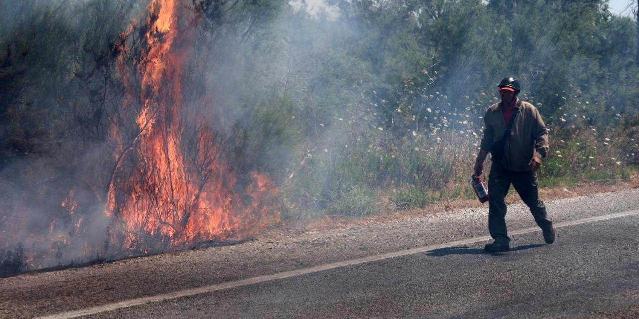Selçuk’ta bir yangın daha: İlk müdahale vatandaşlardan