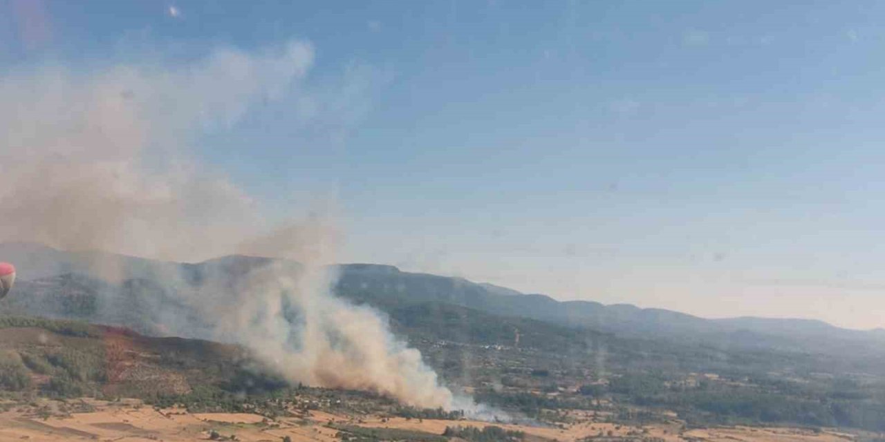 Milas Demirciler’de orman yangını