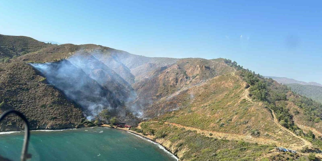 Marmaris’teki orman yangınında 5 hektar alan zarar gördü