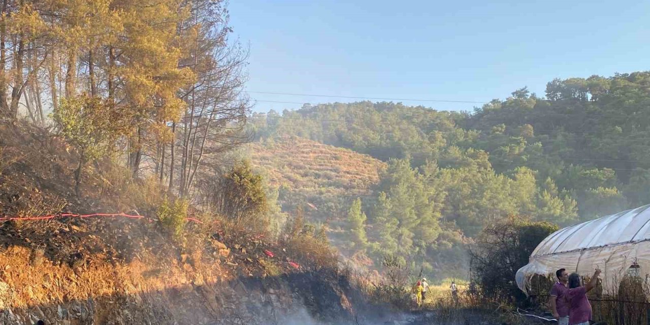 Ortaca’daki yangında 2 sera zarar gördü