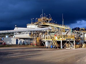 Koza İrlanda’da Altın Arayacak