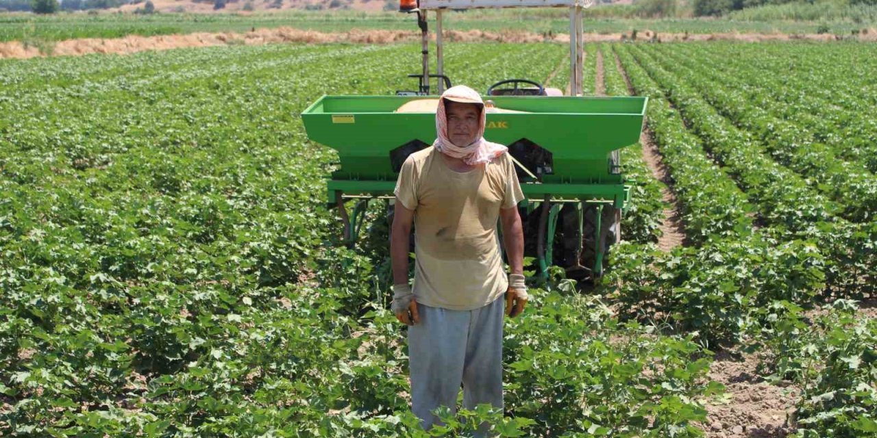 Aydın’da pamuk üreticileri su sıkıntısına dikkat çekti
