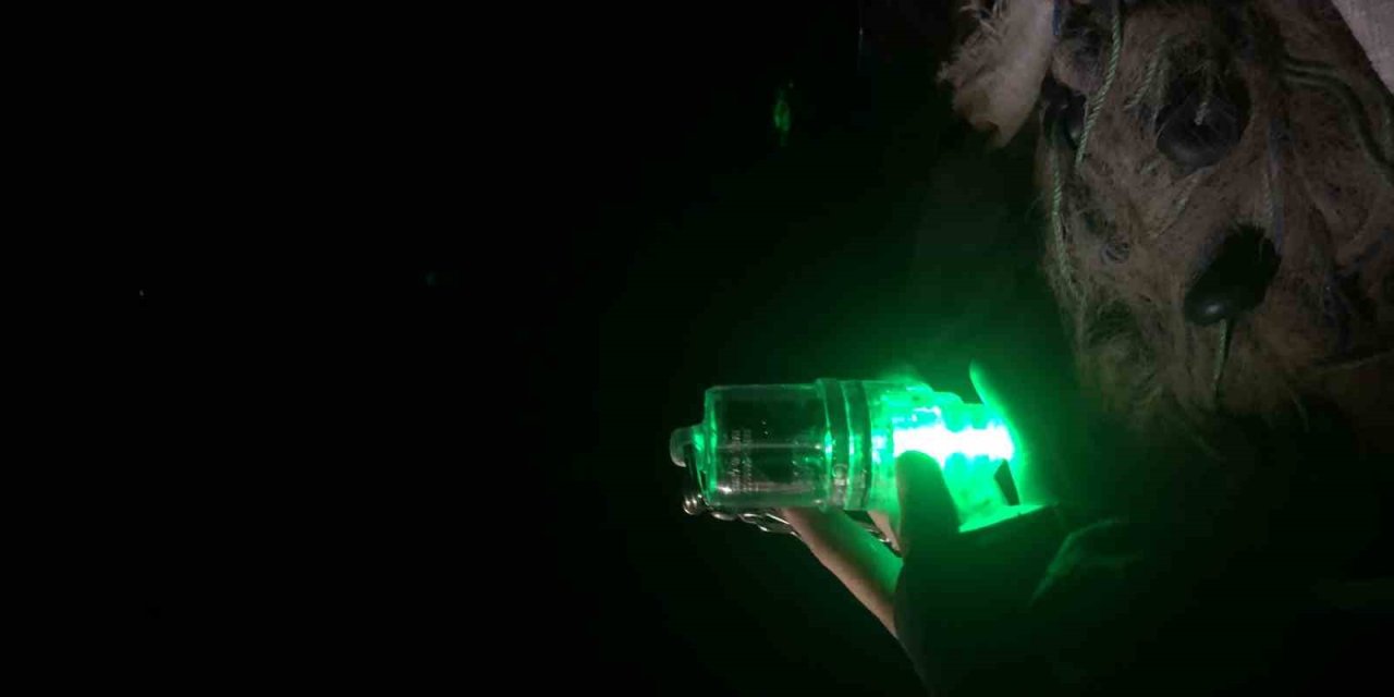 Akdeniz’de balıkçı ağlarına takılan 132 bin deniz kaplumbağası ışıklı ağlarla korunuyor