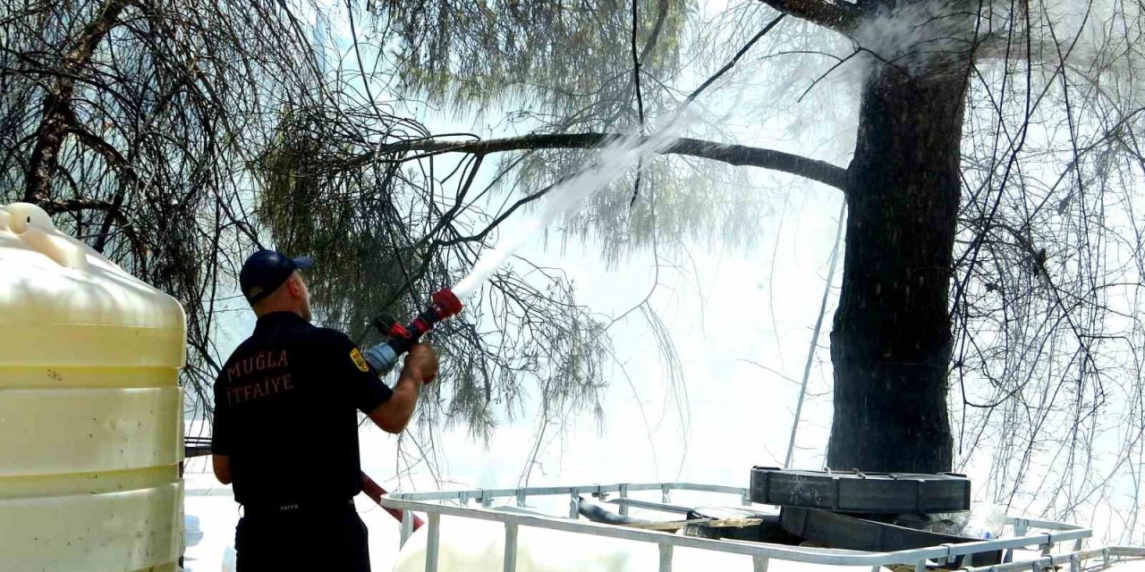 Menteşe’de yangın, ekiplerin zamanında müdahalesi ile söndürüldü