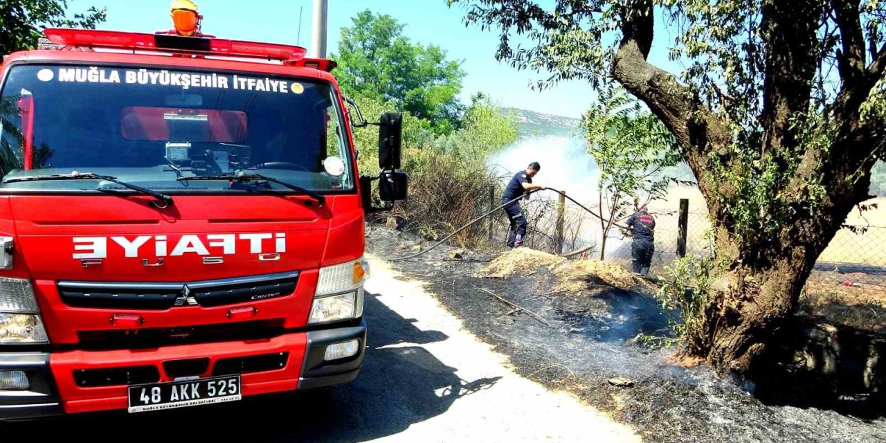 Sigara izmariti yangın çıkardı