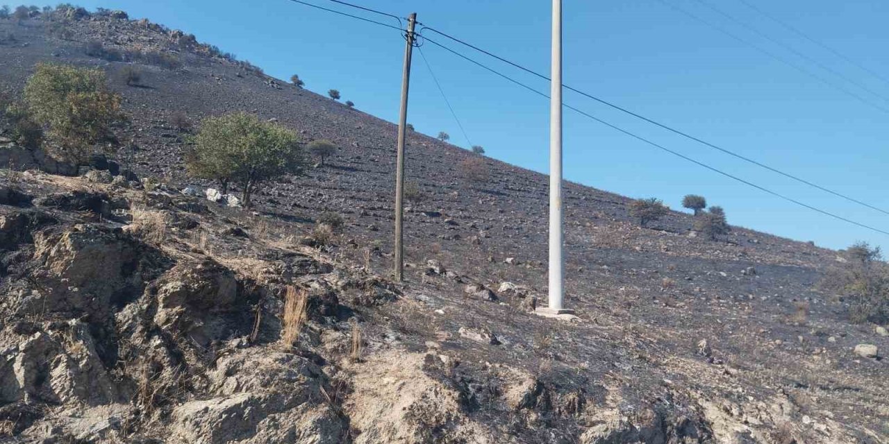 Karpuzlu’daki makilik yangın kontrol altına alındı
