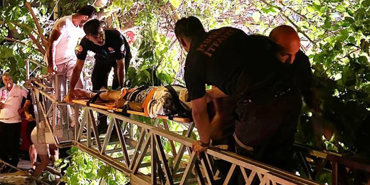 5 metrelik ağaçta asılı kaldı
