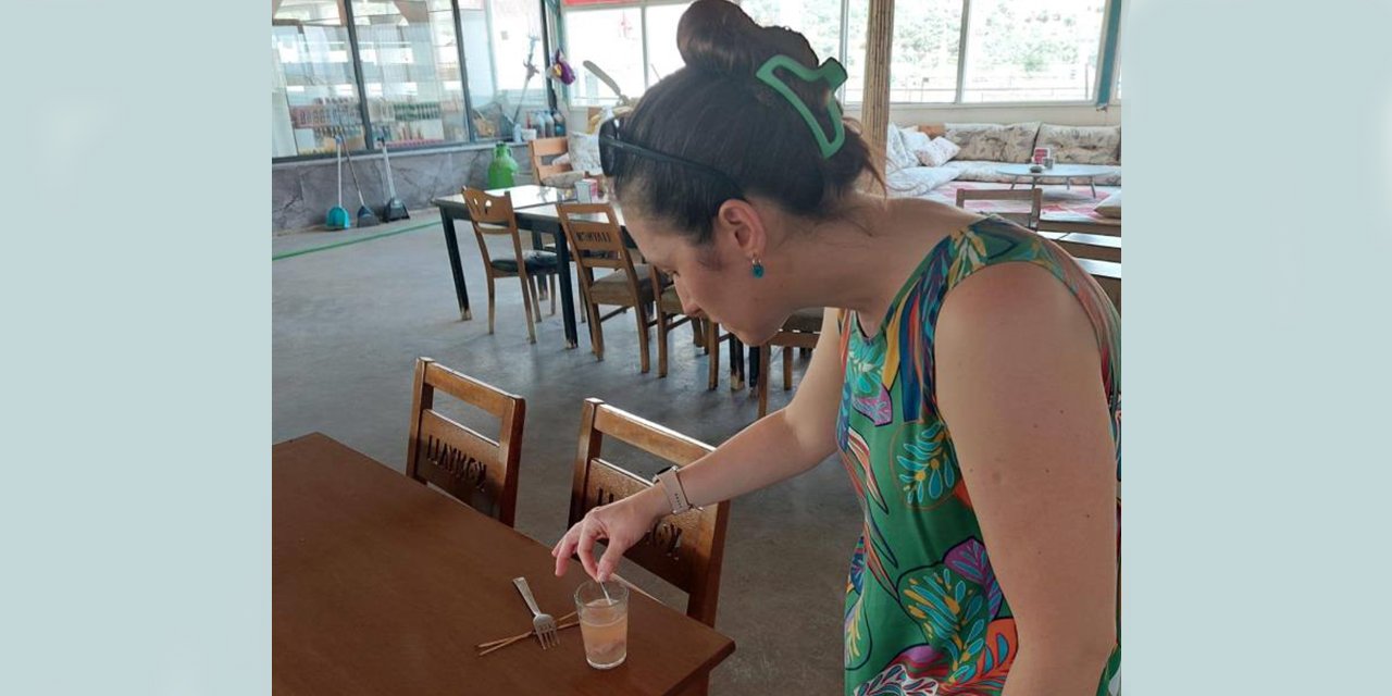 Söke’de 1 ayda 109 gıda işletmesi denetlendi