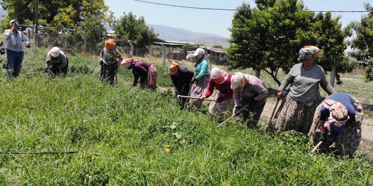 Sıcaklar Egeli kadınları yıldırmıyor