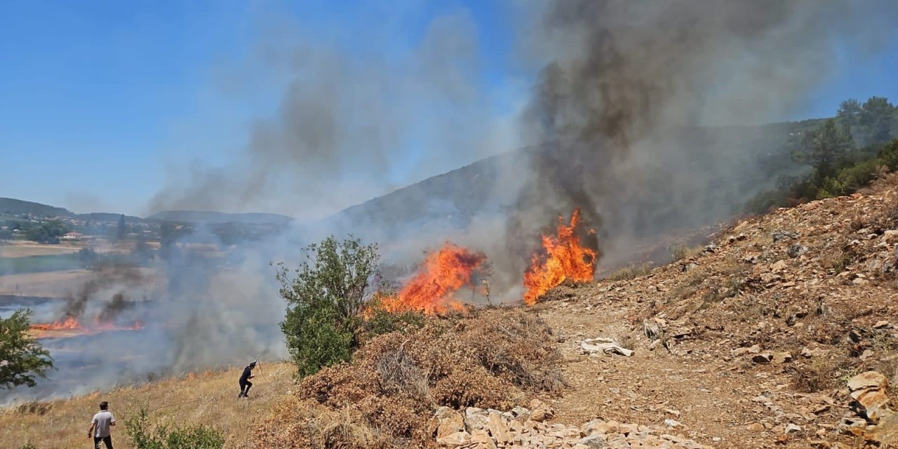 Muğla’nın Menteşe İlçesinde tarım arazisi yangını
