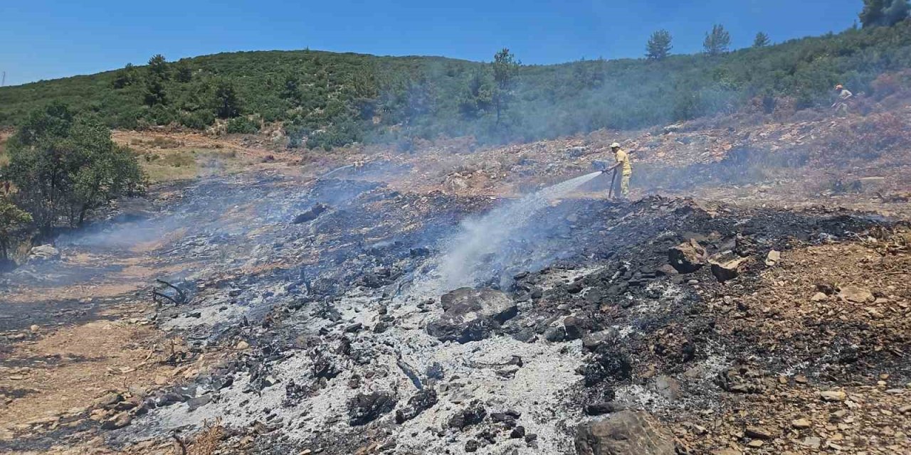 Muğla’daki arazi yangını kontrol altına alındı