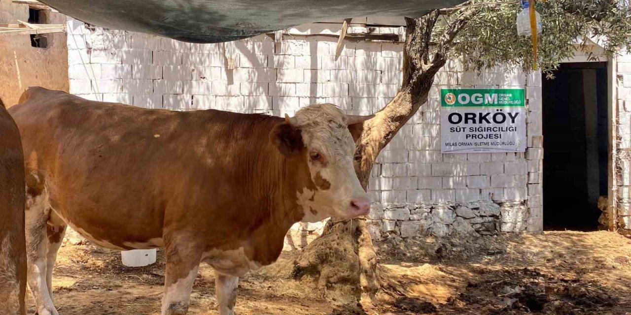 ORKÖY’den orman köylüsüne destek