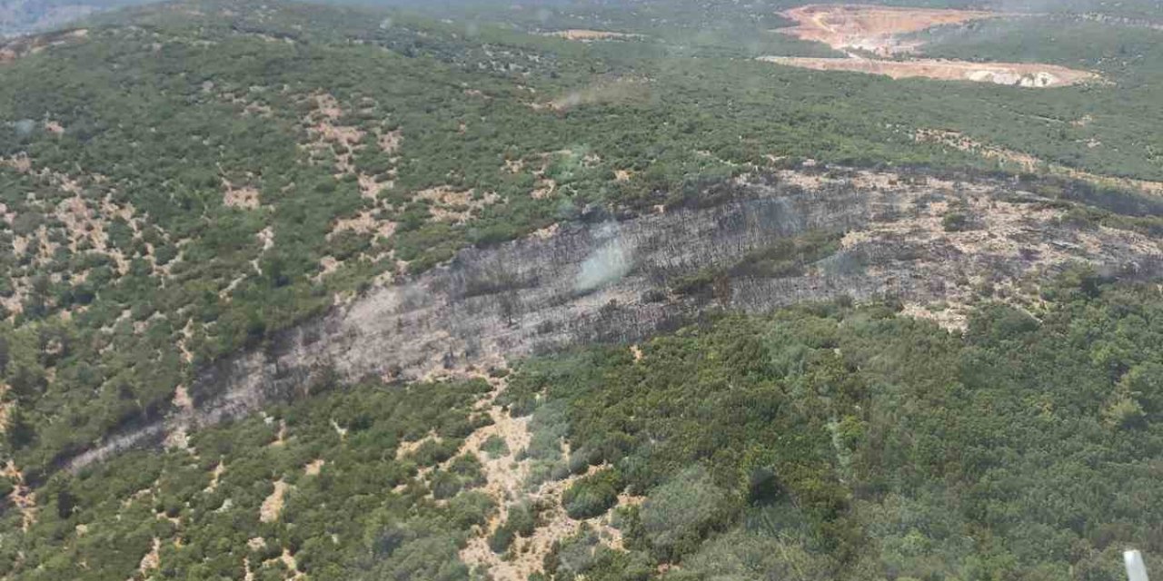 Menteşe Yerkesik Mahallesindeki yangını kontrol altına alındı