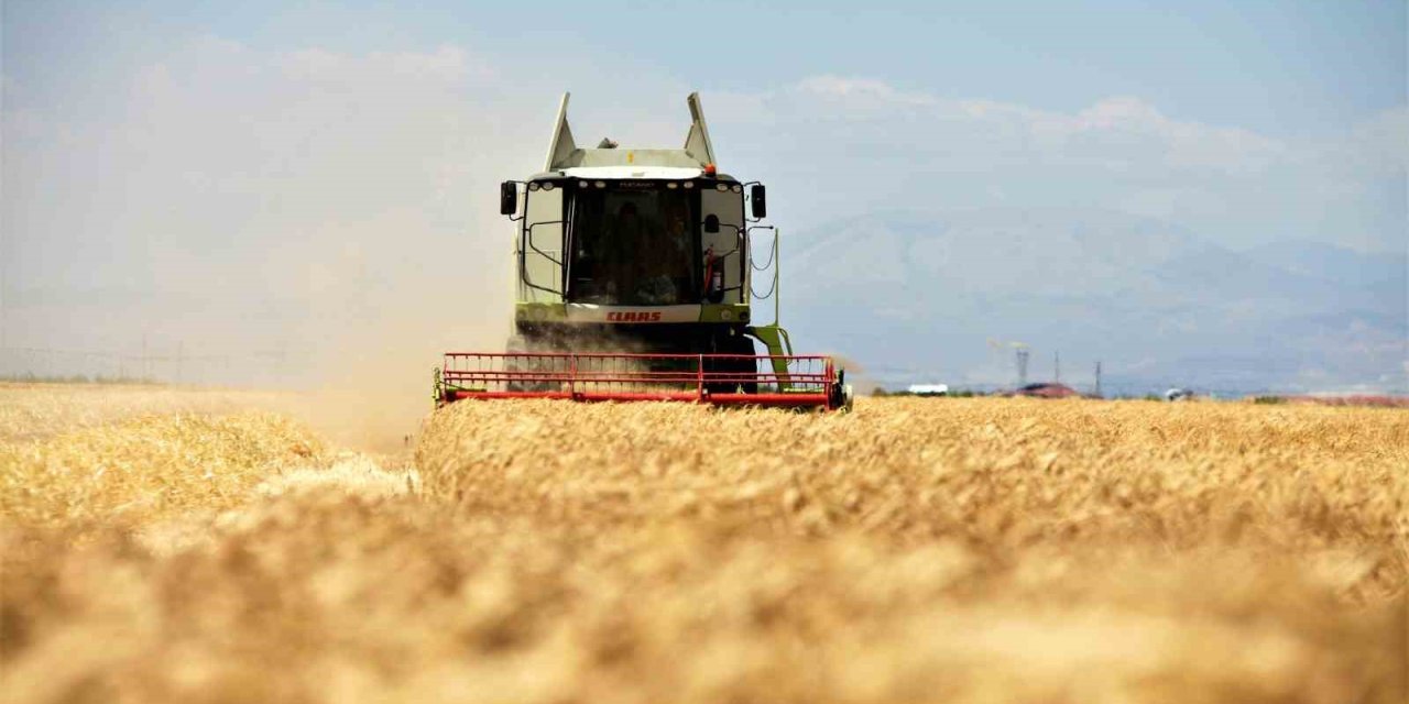 Muğla Valiliğinden ‘Anız’ genelgesi