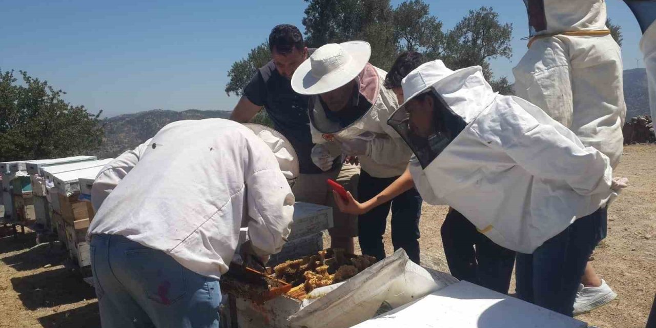 Söke’de Arıcılık Kursu uygulama eğitimleri sürüyor