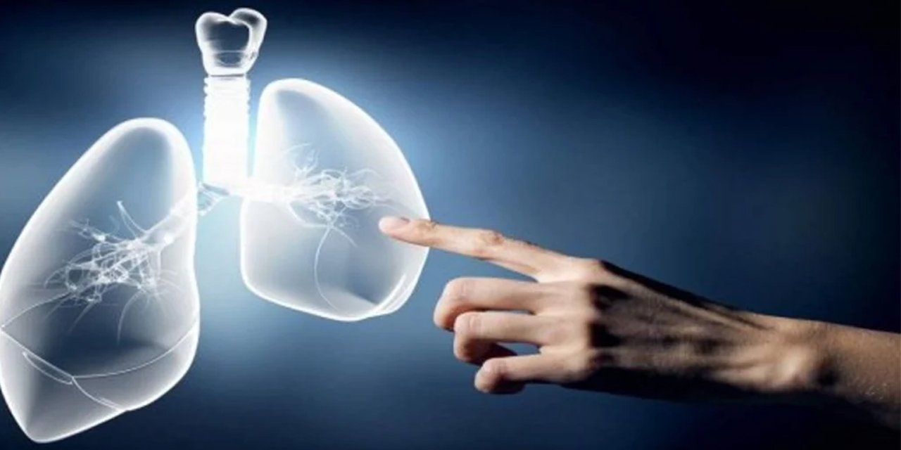 10 maddede yazın akciğer sağlığını korumanın yolları…
