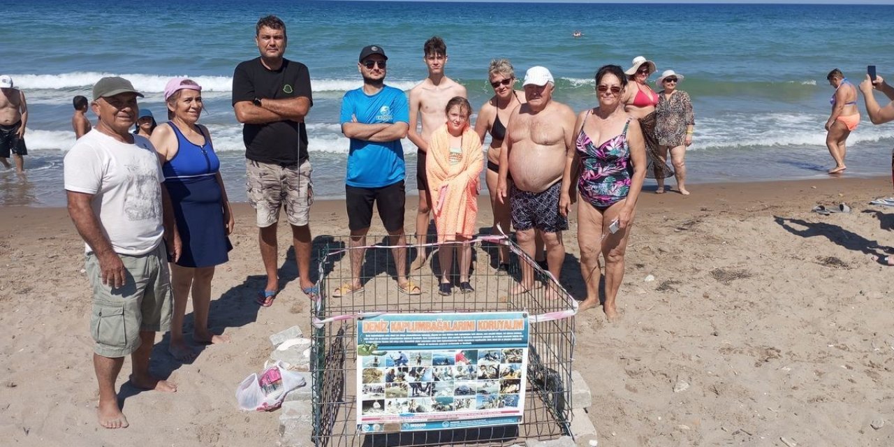 Caretta carettalar Kuşadası’nda 3 ayrı noktaya yumurta bıraktı