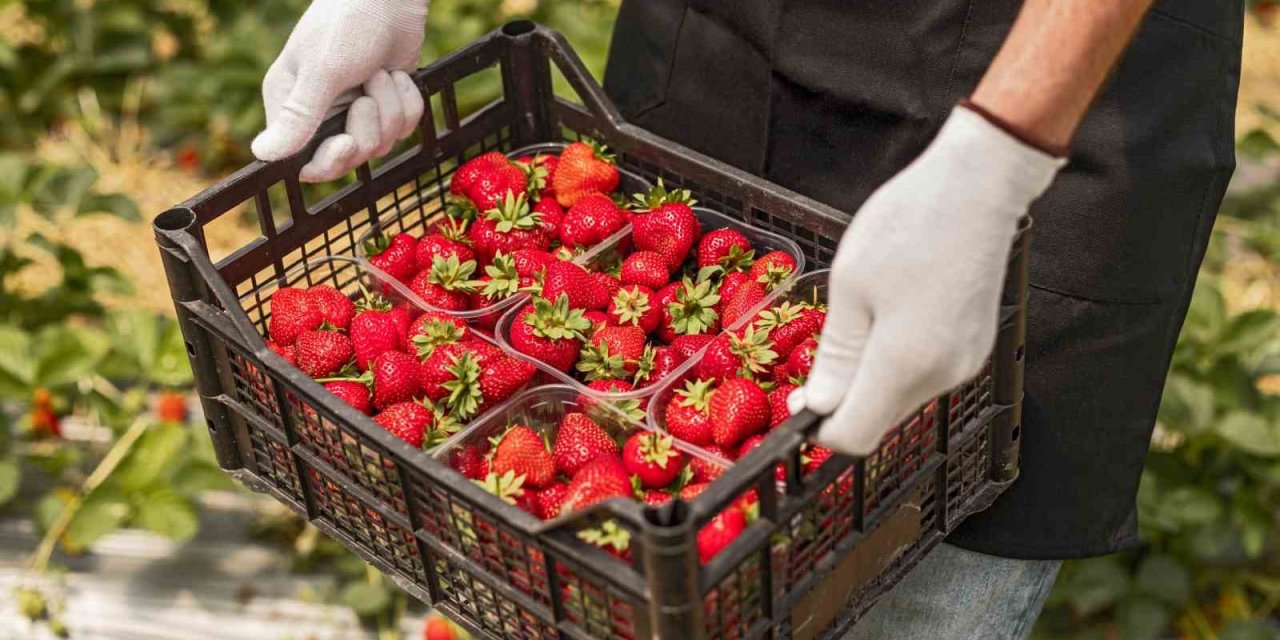 EİB’den Haziran ayında 1 milyar 329 milyon dolarlık ihracat