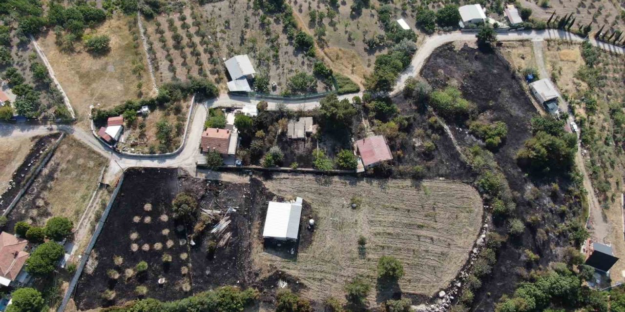 İzmir’deki orman yangının boyutu gün ağarınca ortaya çıktı