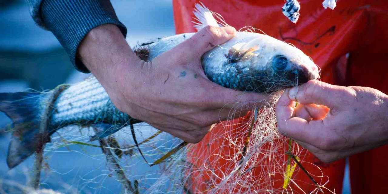 Muğla’nın Haziran ayı ihracatı 79 milyon dolar