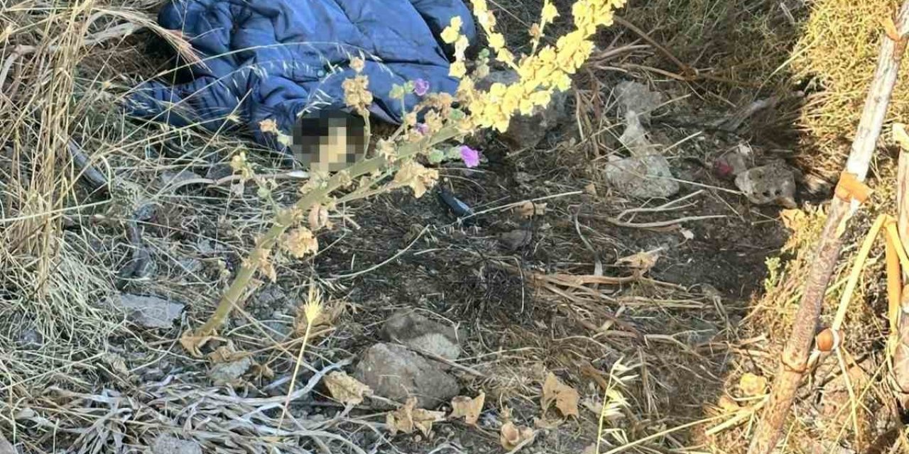 Bodrum’da dağda insan kemikleri bulundu
