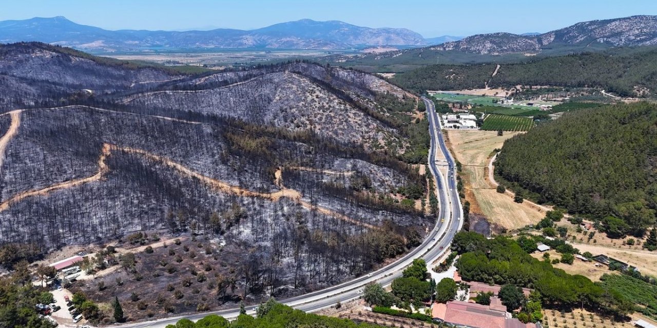 Aydın’da orman yangınlarına dikkat çekildi