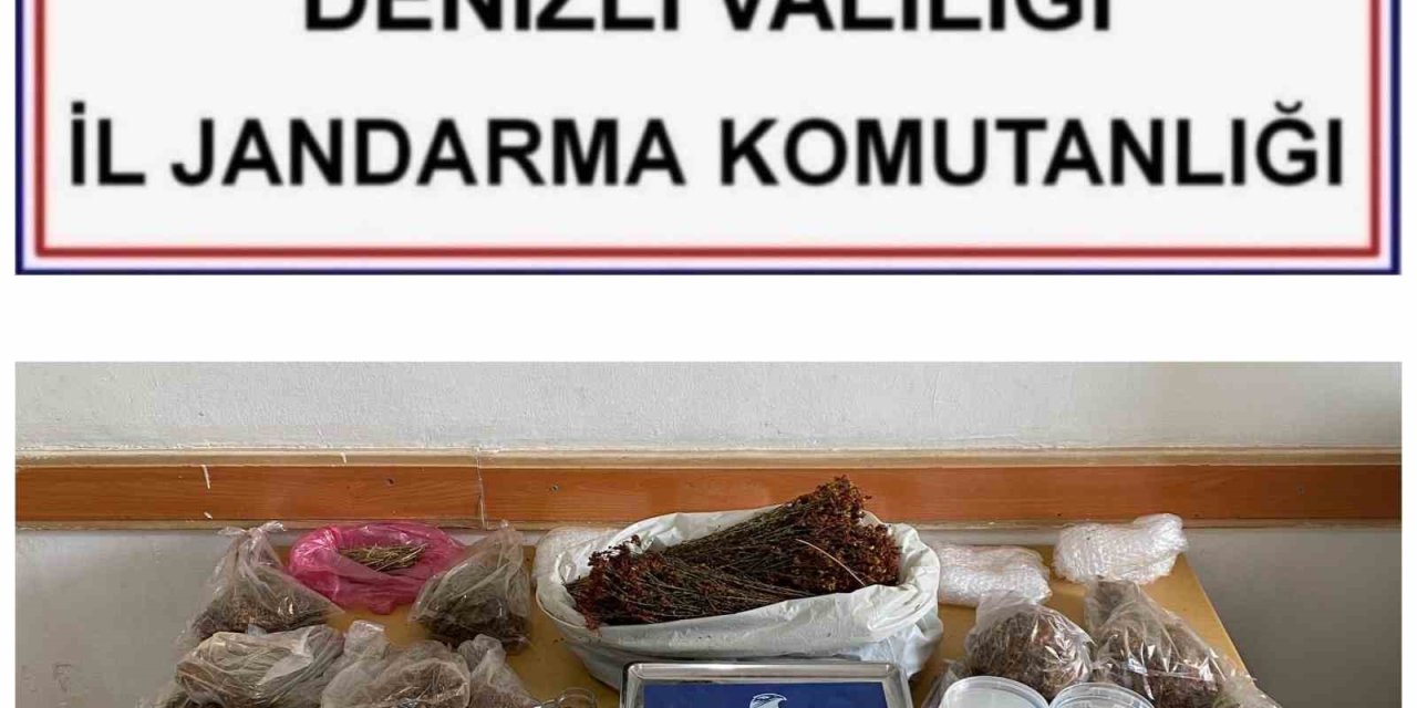JASAT dedektiflerinden sahte şifacı operasyonu