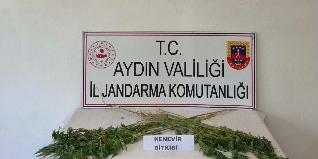 Aydın’da jandarma ekipleri uyuşturucuya geçit vermiyor