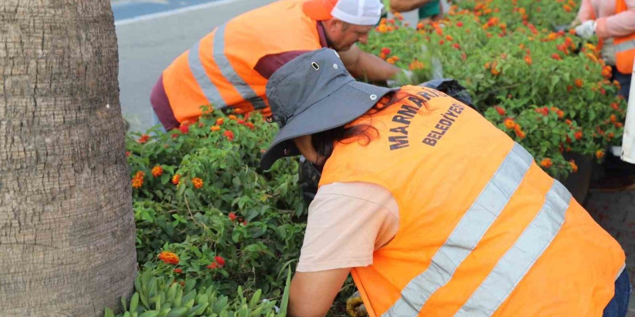 Marmaris’te orta refüjlerde bakım çalışması başladı