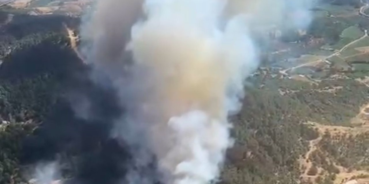 Ödemişte orman yangını