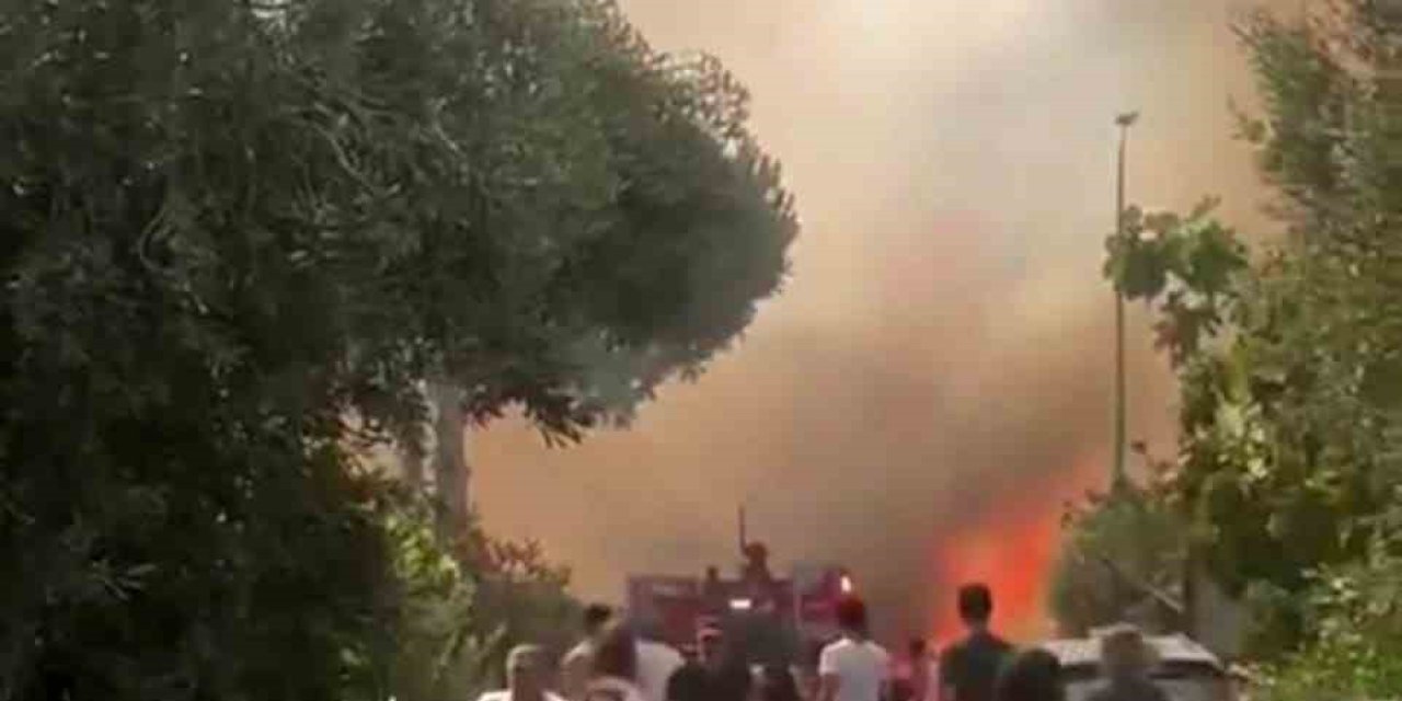 Foça’daki orman yangınına havadan ve karadan müdahale