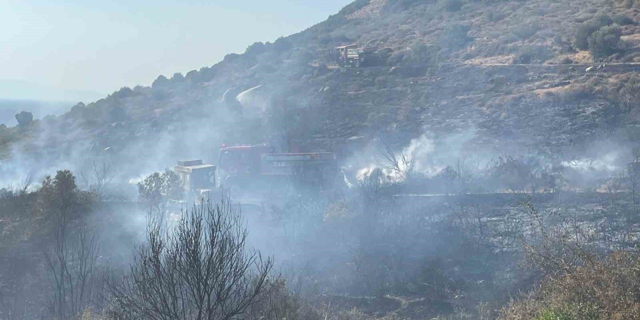 Foça’daki orman yangını alev alan araçtan çıkmış