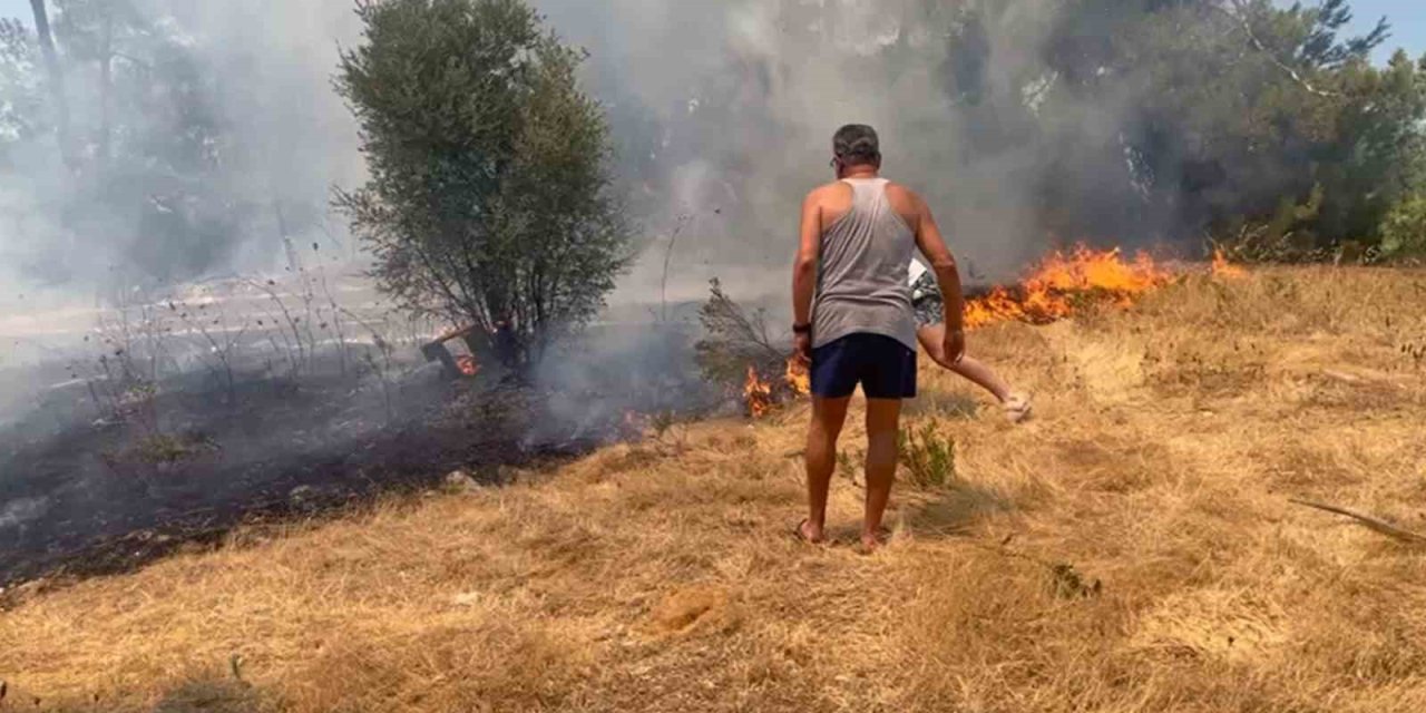Milas yangınına havadan karadan müdahale