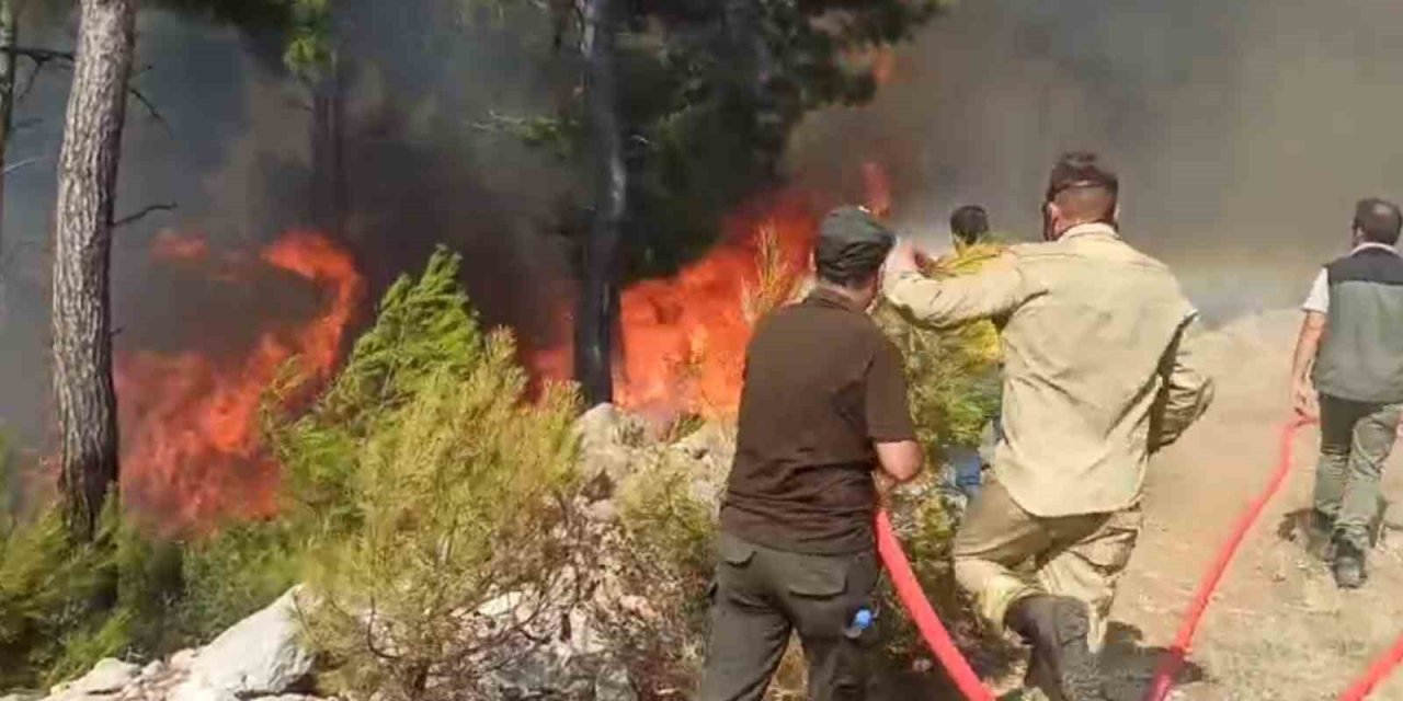 Bodrum’da ’Ateş Savaşçıları’ alevlerle göğüs göğüse mücadele ediyor