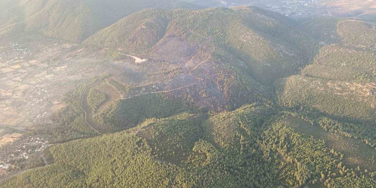 Bodrum’daki orman yangını kontrol altına alındı