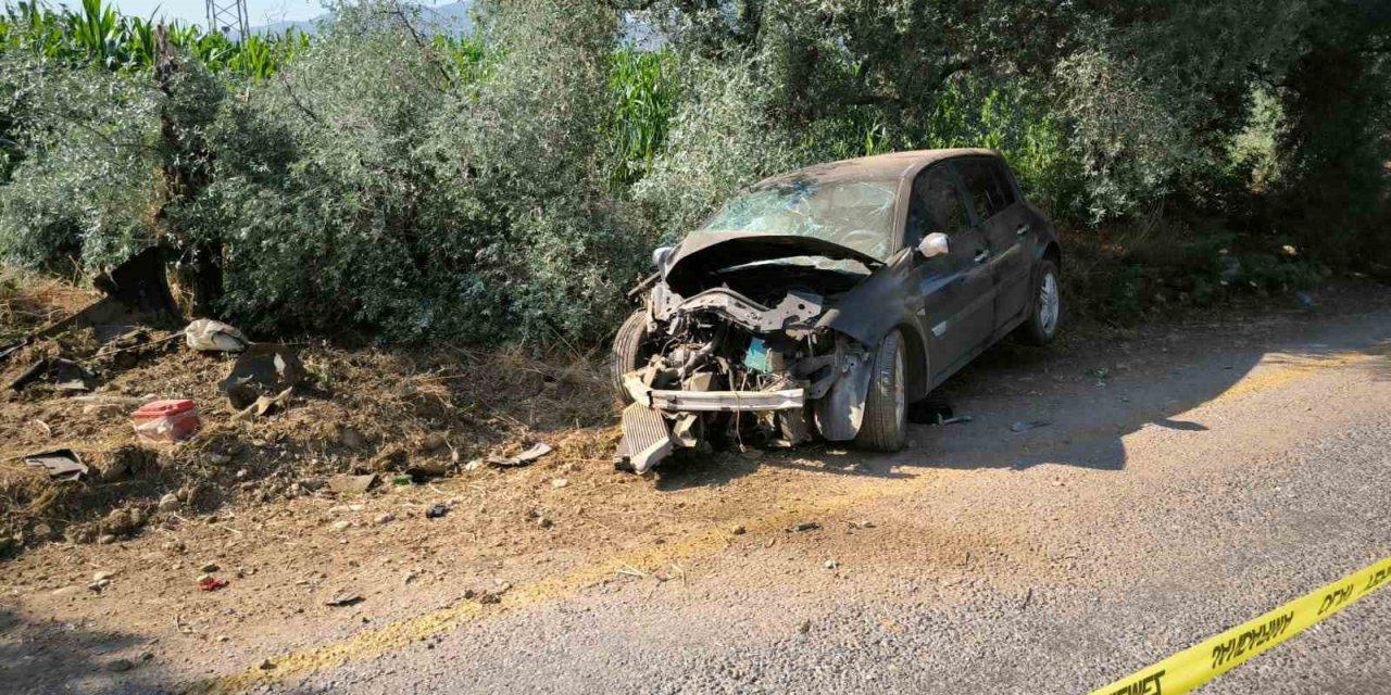 Yol kenarındaki ağaca çarpan otomobilin sürücüsü hayatını kaybetti