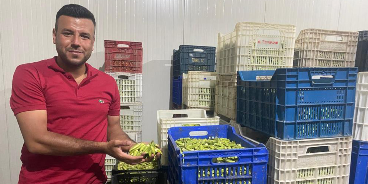 Aydın, bamyada hedef yükseltti