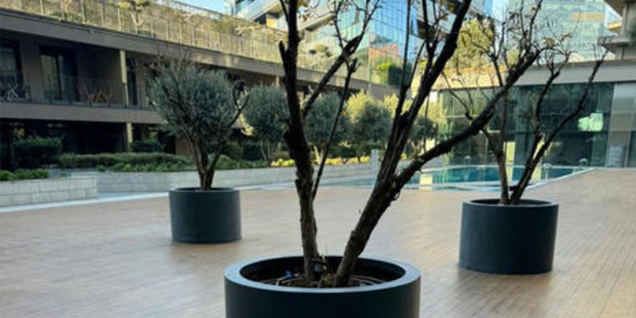 Büyük saksı modelleri ile bitkilerinize farklı bir görünüm kazandırın