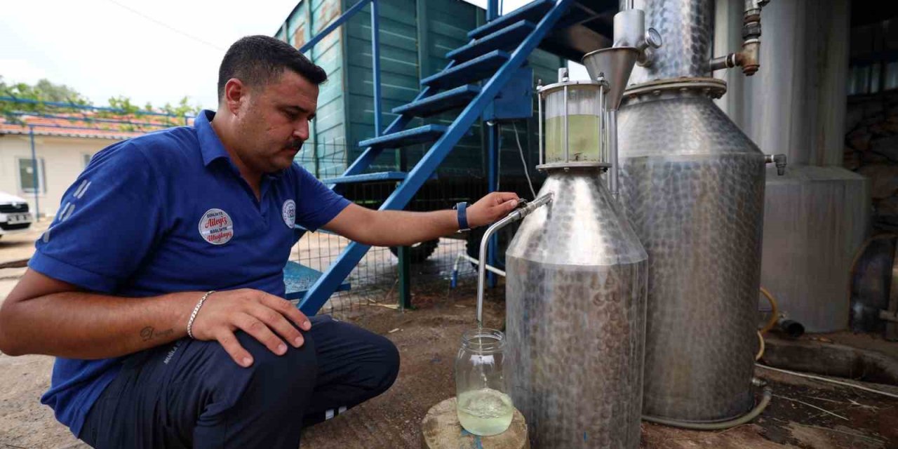 Büyükşehir Distilasyon tesisi çalışıyor, üretici kazanıyor
