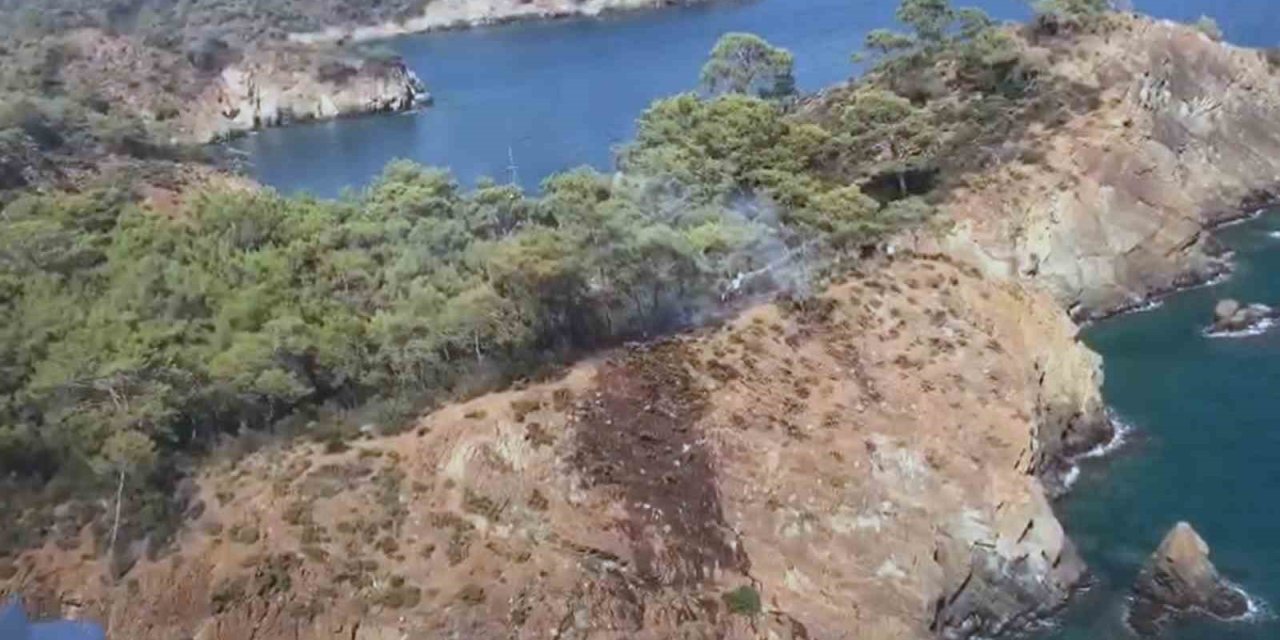 Ünlü koydaki yangın büyümeden söndürüldü