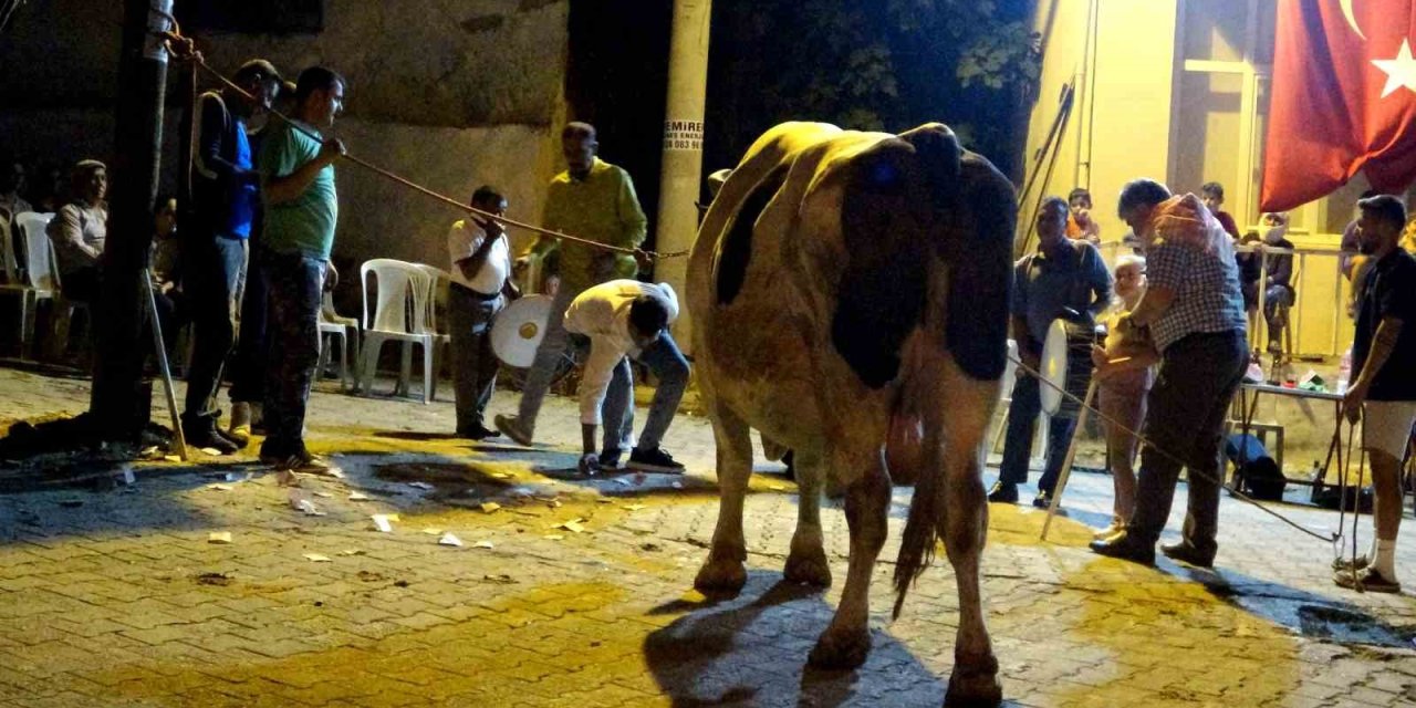 Piste çıkan boğaları para yağmuruna tuttular