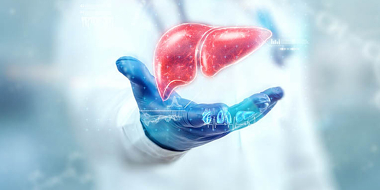 Karaciğer sağlığı vücut sağlığı demek…