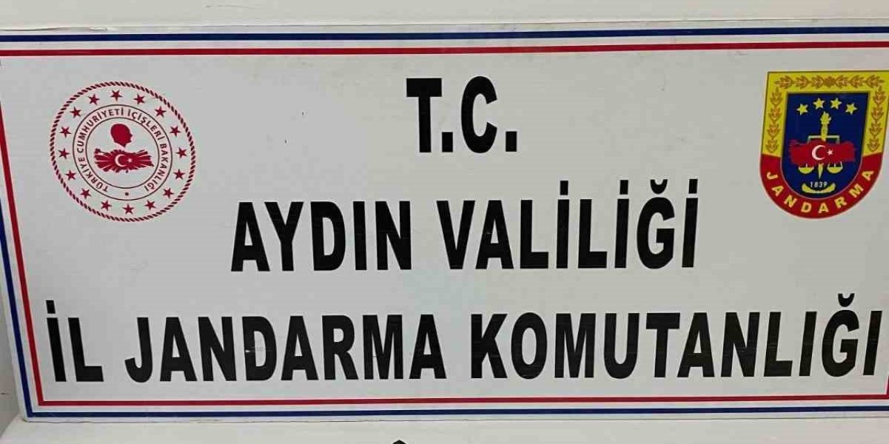 Didim’de ’ruhsatsız silah’ denetimi: 1 gözaltı