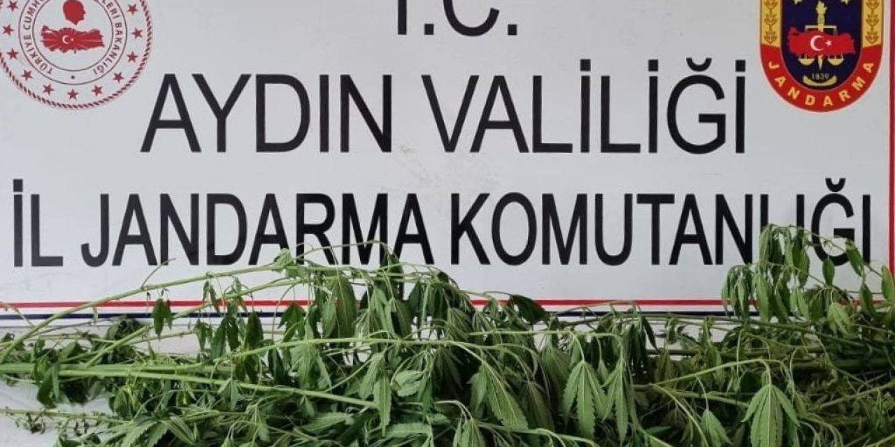 Jandarma uyuşturucuya geçit vermiyor: 5 gözaltı