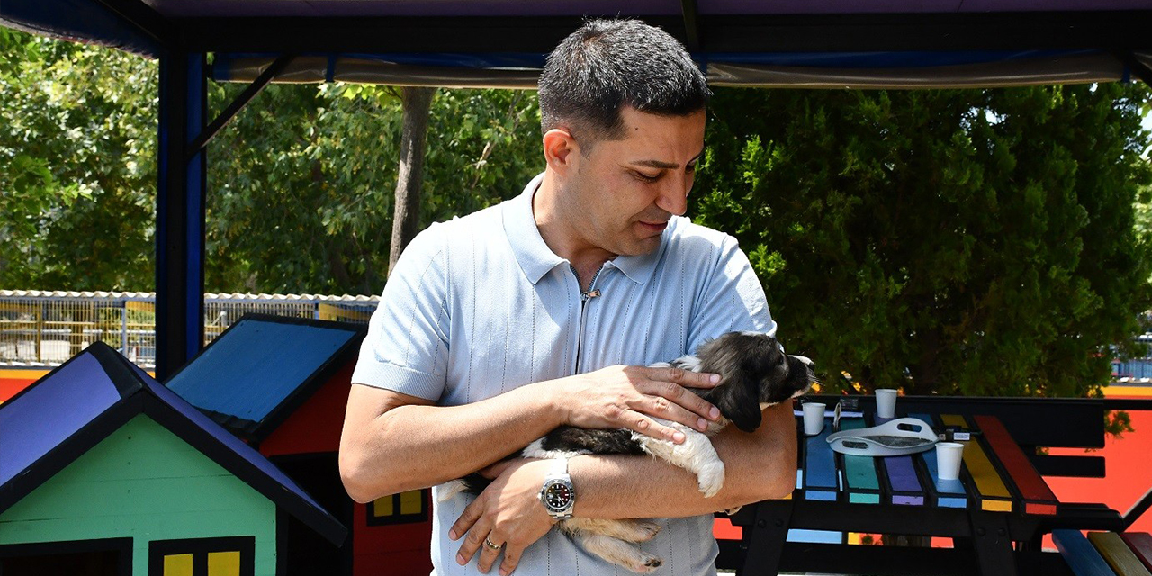 Hayvansever Başkan Ömer Günel’den kanun teklifine sert tepki: “Hiçbir canlının yaşam hakkı gasp edilemez”