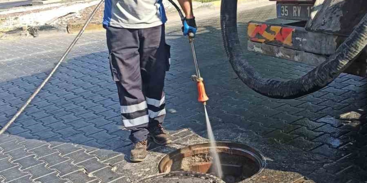 Selçuk’ta haşereyle mücadelede önlemler artırıldı