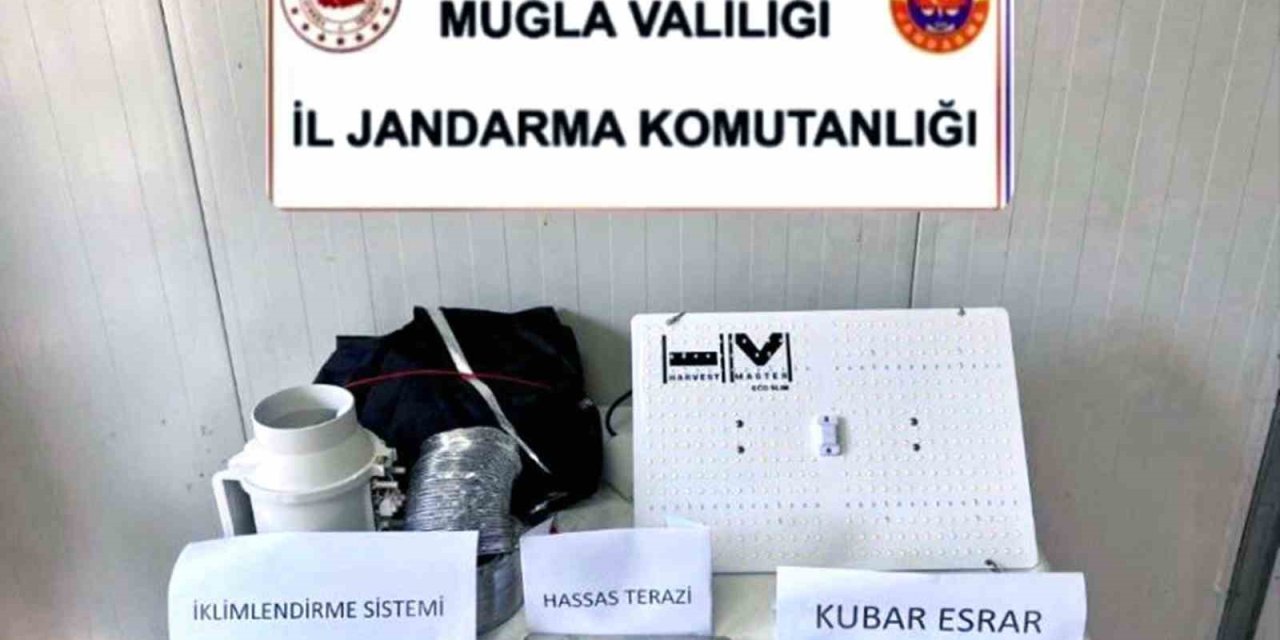 Evde kenevir yetiştiricisine operasyon