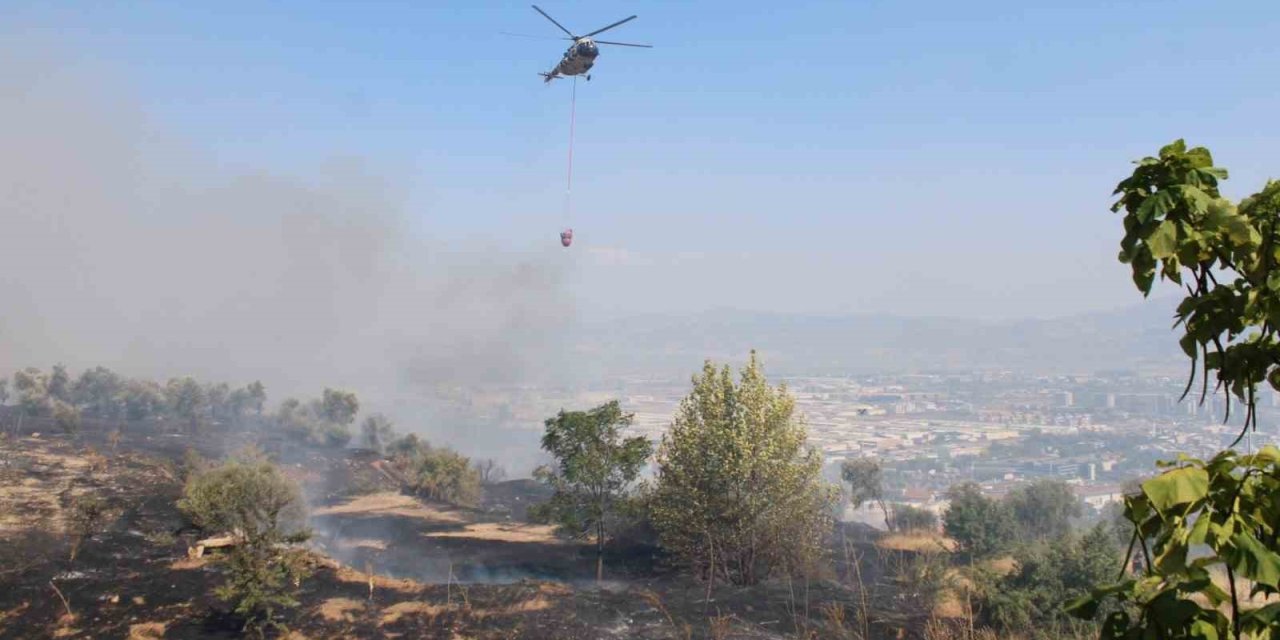 Aydın’da çıkan yangın üniversite kampüs alanına doğru ilerliyor