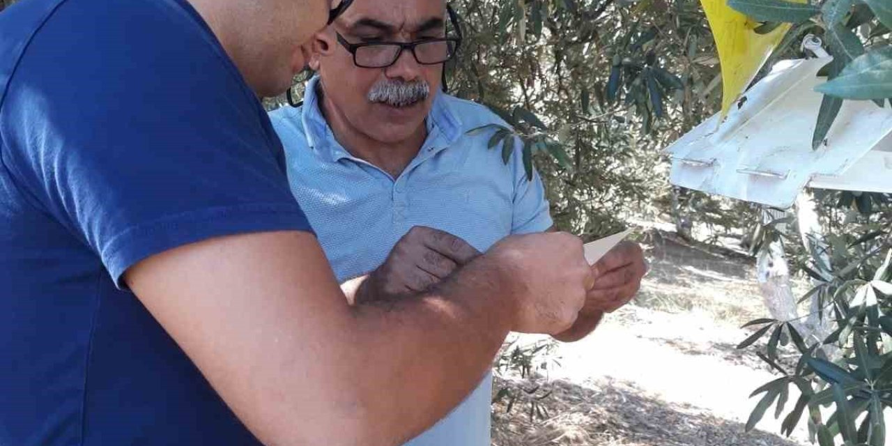 Söke’de zararlı sinek tuzakları kontrol edildi